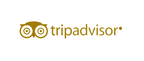 Tripadvsion